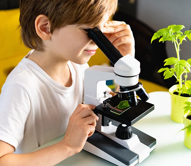 child scientific curiosity